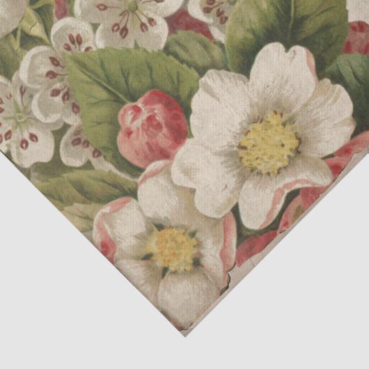 vlinderbloemigen en ephemera-ontkoppeling tissuepapier (Detail)