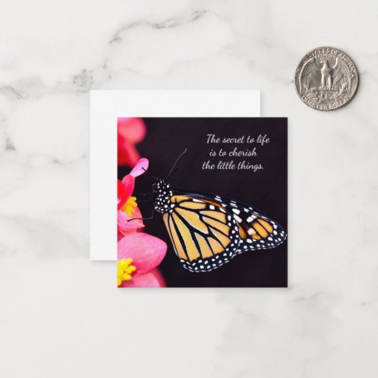 Vlinderbloemigen Notitiekaartje (Voorkant / Achterkant in situ)