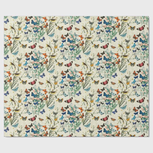  vlinderbloemkool botanisch papier voor de onmidde (Vlak)