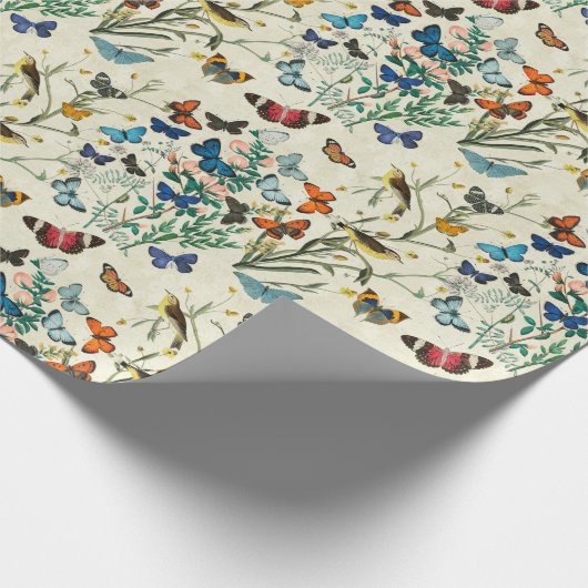  vlinderbloemkool botanisch papier voor de onmidde (Hoek)