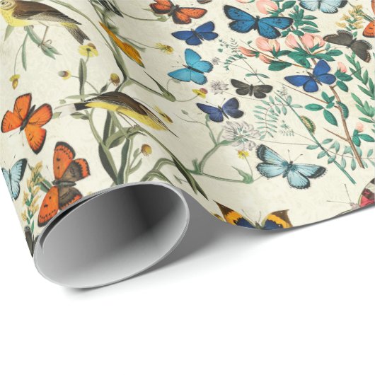 vlinderbloemkool botanisch papier voor de onmidde (Rol Hoek)