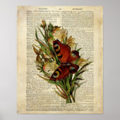 Vlinderbloemkunst op de  woordenboekpagina poster (Voorkant)