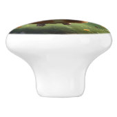 Vlindercavia, Keramische Knop (Zijkant)