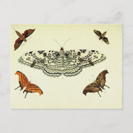 vlindercollage briefkaart