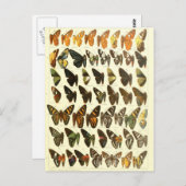 vlinderdiagram briefkaart (Voorkant / Achterkant)