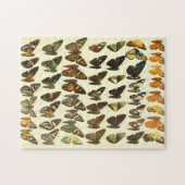 vlinderdiagram legpuzzel (Horizontaal)