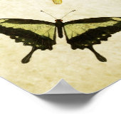 vlinderdruk 002 poster (Hoek)
