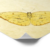  vlinderdruk 120 poster (Hoek)
