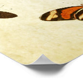 vlinderdruk 130 poster (Hoek)