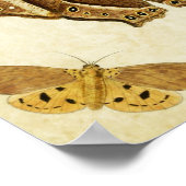 vlinderdruk 133 poster (Hoek)