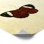 vlinderdruk 136 poster (Hoek)