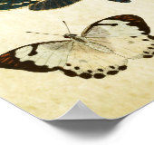 vlinderdruk 154 poster (Hoek)