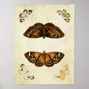 vlinderdruk 171 poster