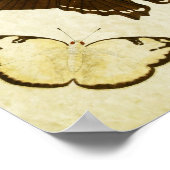  vlinderdruk 187 poster (Hoek)