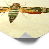 vlinderdruk 285 poster (Hoek)