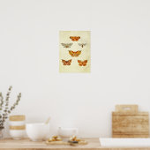 vlinderdruk 344 poster (Keuken)
