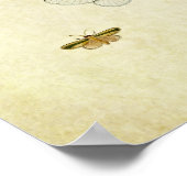  vlinderdruk 355 poster (Hoek)