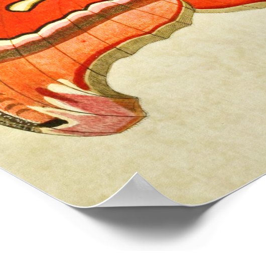  vlinderdruk 381 poster (Hoek)