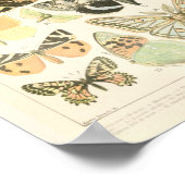 vlinderdruk - Adolphe Millot Poster (Hoek)