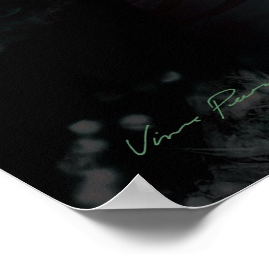 vlindereffect 2 (donkerder) poster (Hoek)