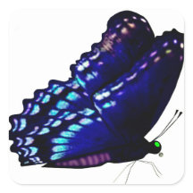 Vlinderenvelop afdichtingen