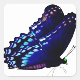 Vlinderenvelop afdichtingen vierkante sticker