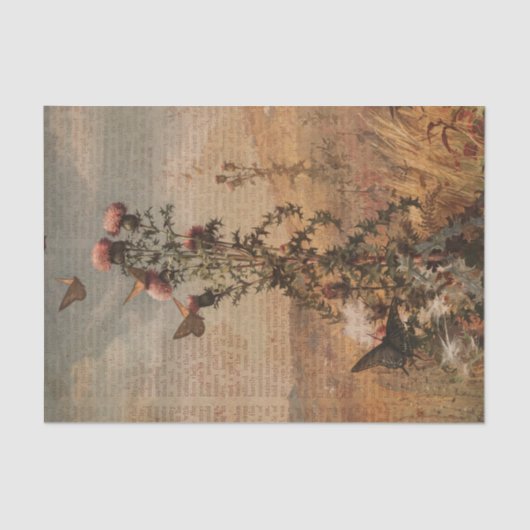  vlinderephemera tissuepapier (Voorkant)