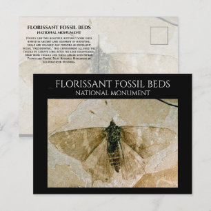 Vlinderfossiel, Florissant Fossil Beds, Wyoming Briefkaart
