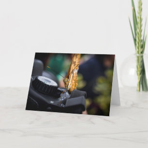 Vlinderfotograaf Blank Kaart