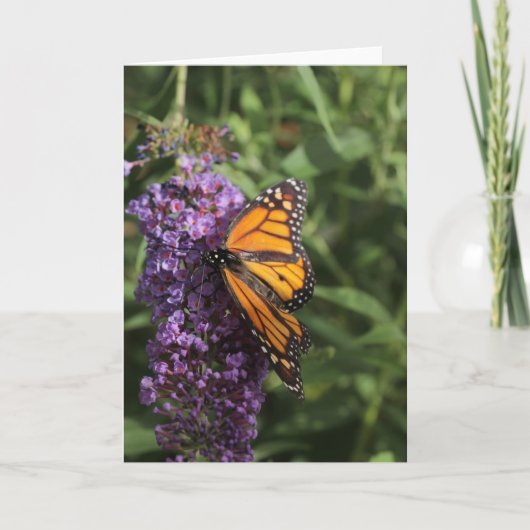 Vlinderfotokaart Kaart (Voorkant)