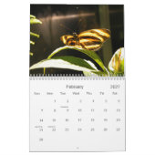 vlinderfotokalender kalender (Feb 2027)