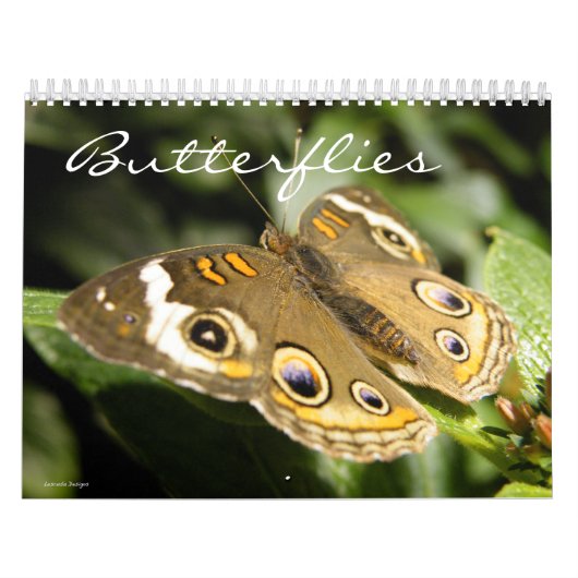 vlinderfotokalender kalender (Hoes)