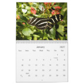 vlinderfotokalender kalender (Jan 2027)