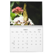 vlinderfotokalender kalender (Mar 2027)
