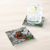 Vlinderglas onderzetter (Schuin)