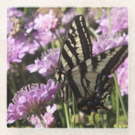 Vlinderglas onderzetter