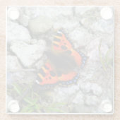 Vlinderglas onderzetter glazen onderzetter (Achterkant)