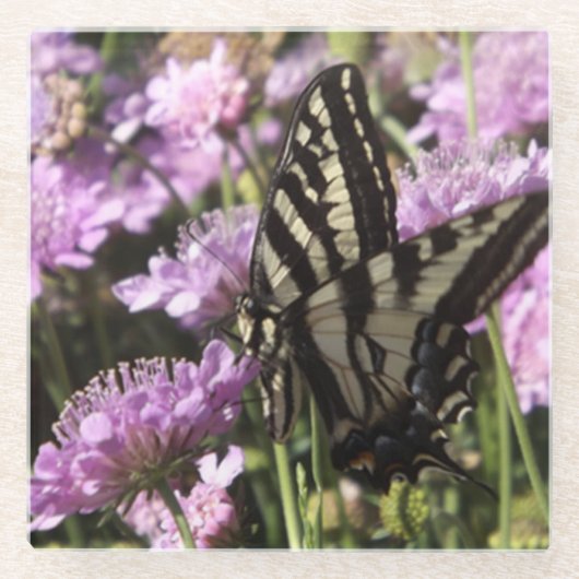 Vlinderglas onderzetter glazen onderzetter (Voorkant)
