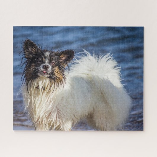 Vlinderhond. Legpuzzel (Horizontaal)