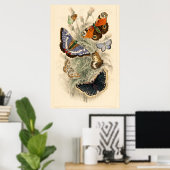  vlinderillustratie door Oliver Goldsmith Poster (Thuiskantoor)