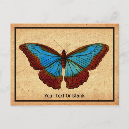  vlinderillustratie feestdagenkaart (Voorkant)