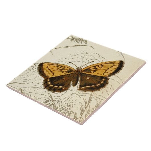  vlinderillustratie, goud en bruin tegeltje (Zijkant)
