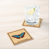  vlinderillustratie kartonnen onderzetters (Insitu)