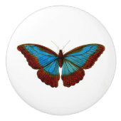  vlinderillustratie keramische knop (Voorkant)