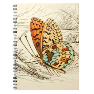  vlinderillustratie, Oranje en beige Notitieboek
