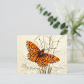 vlinderillustratie, Oranje en zwart Briefkaart (Staand voorkant)