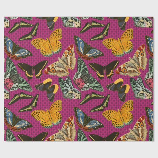 vlinderillustratie Paarse achtergrond Cadeaupapier (Vlak)