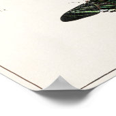  vlinderillustratie poster (Hoek)