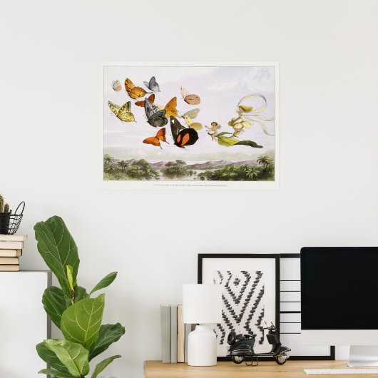  vlinderillustratie poster (Thuiskantoor)