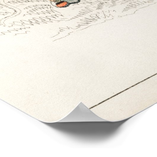  vlinderillustratie poster (Hoek)